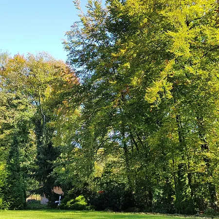 Hotel Wald-hotel Troisdorf