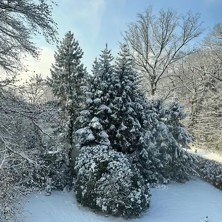 Wald-hotel 3* Τρόισντορφ