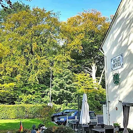 Wald-hotel 3*