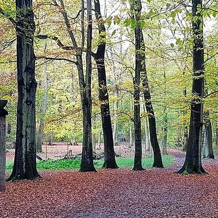 Wald-hotel Hotel