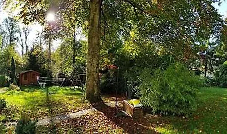 Wald-hotel 3*