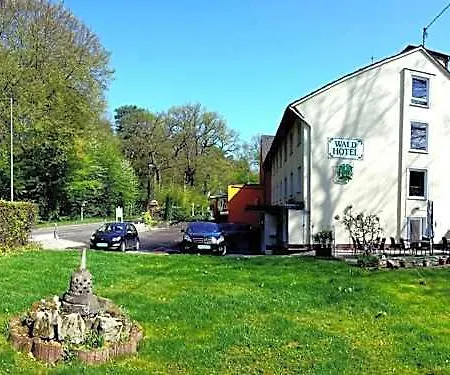 Hotel Wald-hotel