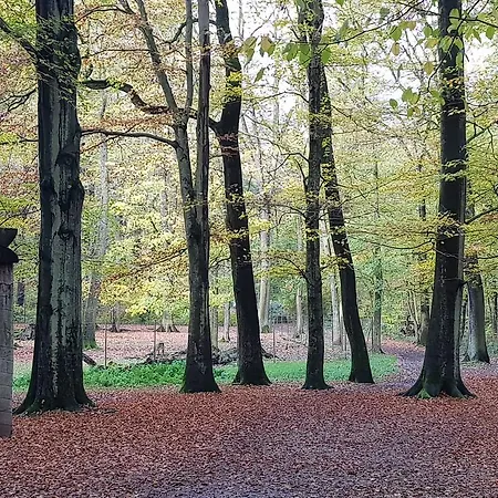 Wald-hotel Hotel Troisdorf