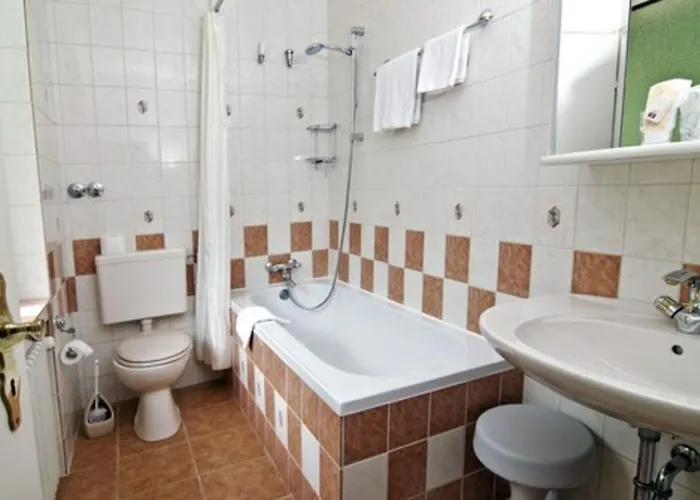 Wald-hotel 3* Τρόισντορφ