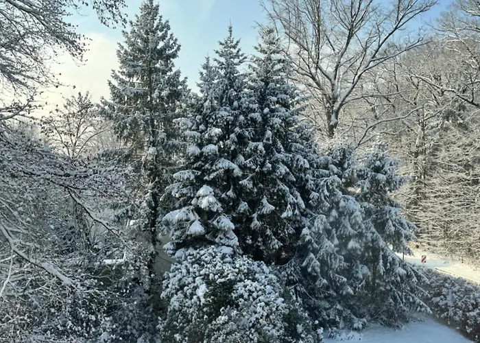 Wald-hotel 3* Τρόισντορφ